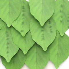 Leaf Sticky Notes Creative Lovely Leaf Sticky Note Paper Pad