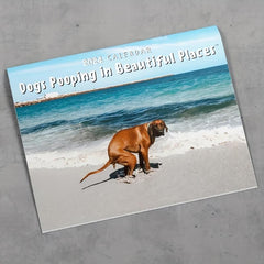 Dog Poop Calendar Funny Dog Calendar Great Gift For Dog