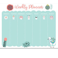 Magnetic Planner Calendar & Dry Erase Markers Set