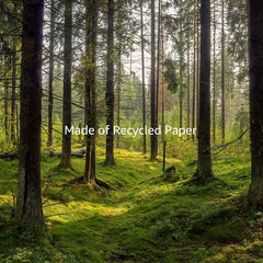 Glossy Photo Paper 10x15 cm 100 Sheets 53lb 200gsm