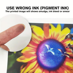 Koala Glossy Inkjet Photo Paper 8.5X11 48lb 50 Sheets