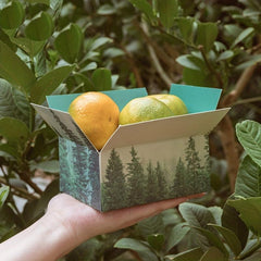 3pcs Scenery Storage Box Series Literary Hand Account Storage