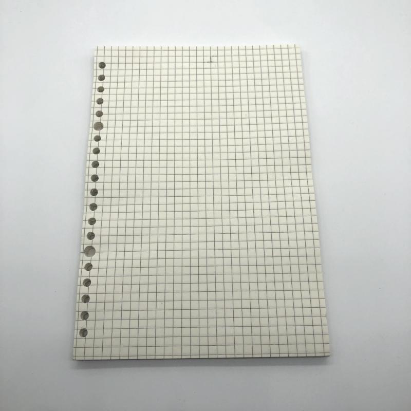 A5 Loose Leaf Journal Refill 60 Sheets