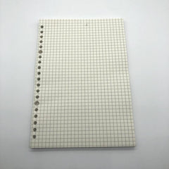 A5 Loose Leaf Journal Refill 60 Sheets