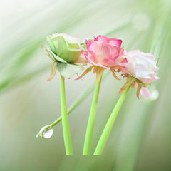 Rose Flower Pen for Weddings Home Decor & Women