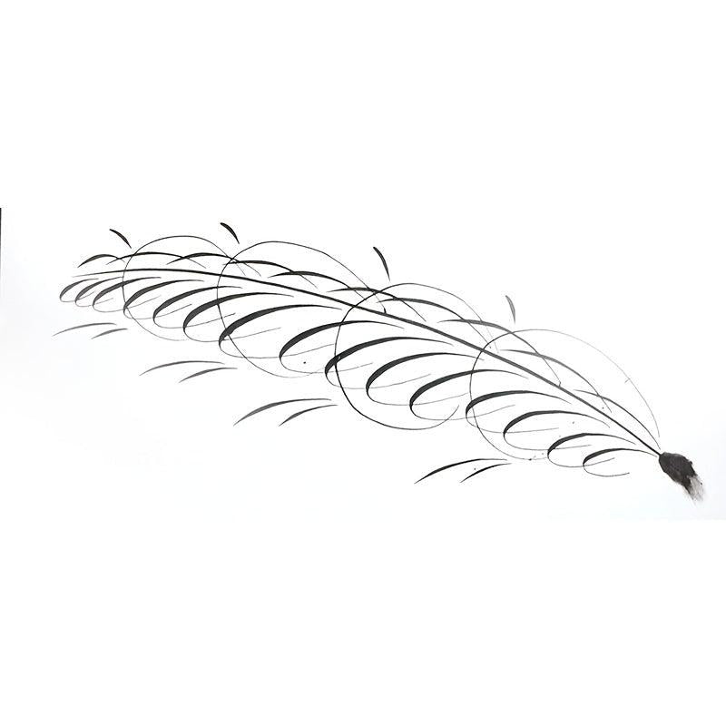 9 Calligraphy Nibs Dip Pen Set Cartoon Animation Lettering Sketching Art