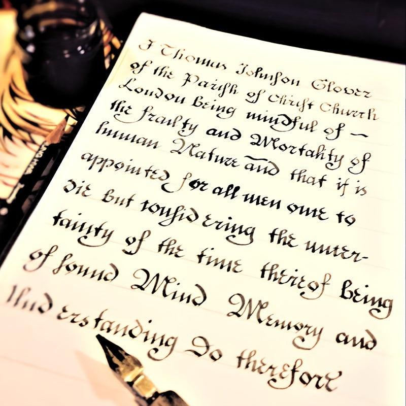 9 Calligraphy Nibs Dip Pen Set Cartoon Animation Lettering Sketching Art