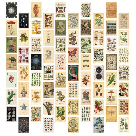 Vintage Wall Collage Kit 70pcs Room Decor Pictures Cottagecore Botanical Art
