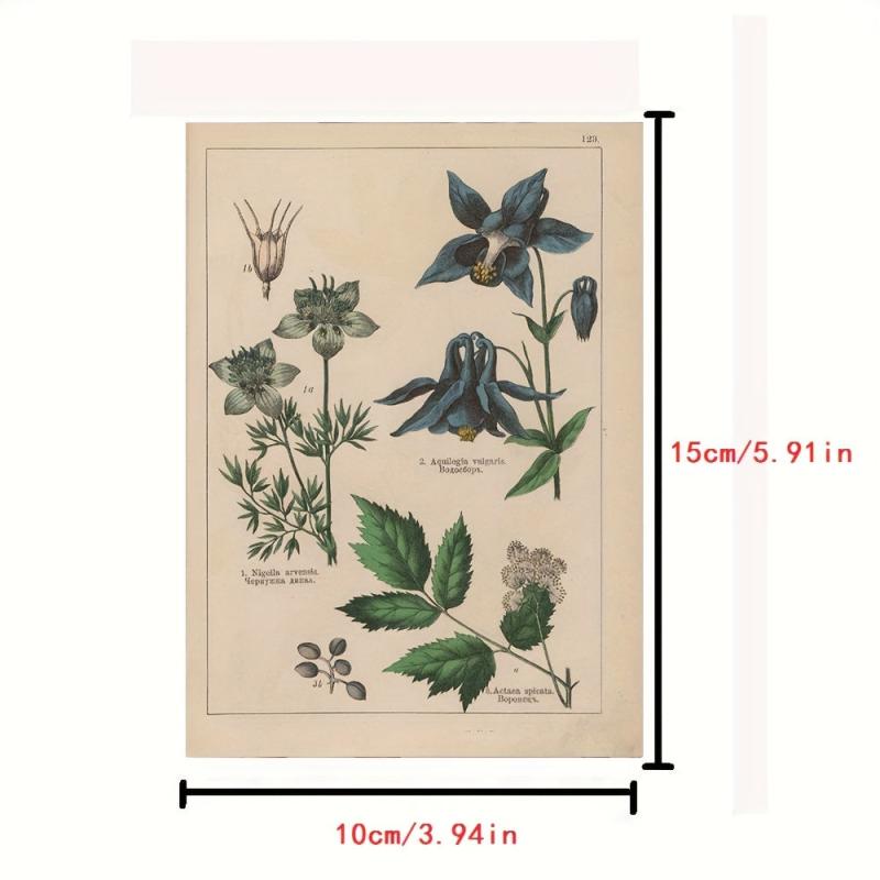 70 Retro Plant Postcard Collage Sets with Animal Pictures for Room Decoration