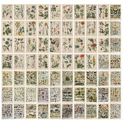 70 Retro Plant Postcard Collage Sets with Animal Pictures for Room Decoration