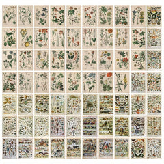 70 Retro Plant Postcard Collage Sets with Animal Pictures for Room Decoration