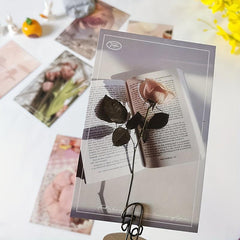 Small Fresh 30 Cards Postcard Art Poster Wall Decoration