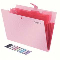 Expandable Organization Bag with 5 Pockets - A4 Size