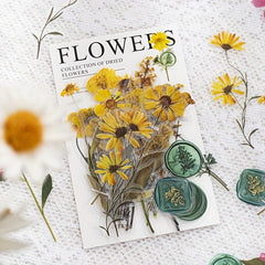 40pcs Dried Flower Collection PET Sticker Pack, Journal Decoration Material