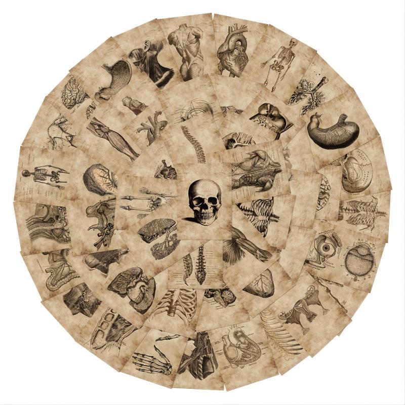 56pcs Skeleton Schematic Stickers for Water Bottles Laptops