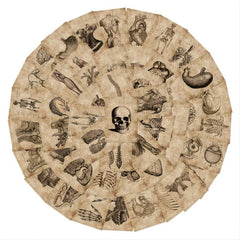 56pcs Skeleton Schematic Stickers for Water Bottles Laptops