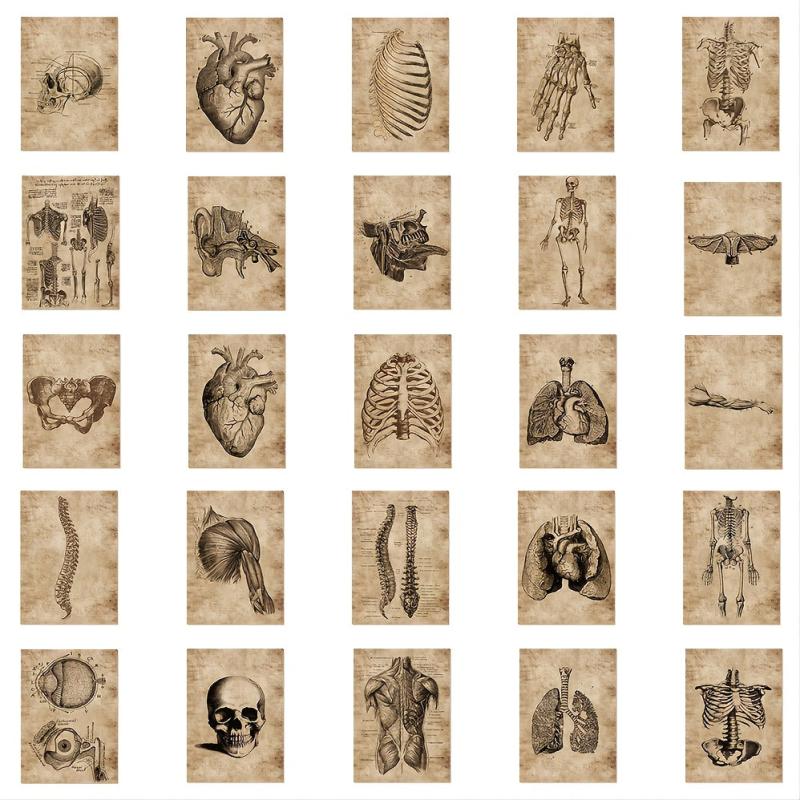 56pcs Skeleton Schematic Stickers for Water Bottles Laptops