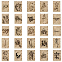 56pcs Skeleton Schematic Stickers for Water Bottles Laptops