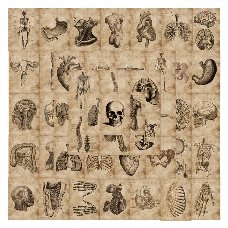 56pcs Skeleton Schematic Stickers for Water Bottles Laptops