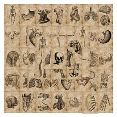 56pcs Skeleton Schematic Stickers for Water Bottles Laptops