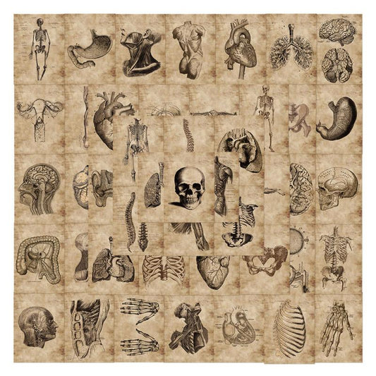 56pcs Skeleton Schematic Stickers for Water Bottles Laptops