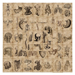 56pcs Skeleton Schematic Stickers for Water Bottles Laptops
