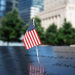 10pcs American Hand Held Mini Flags Decorations 1 Dozen 10pcs