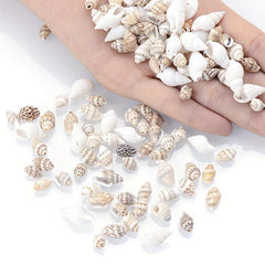 50Pcs Multicolor Conch Shell Beads for Jewelry Making DIY