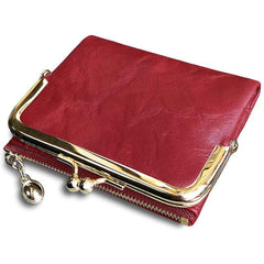 Vintage Small Clutch Coin Purse with Kiss Lock Pocket