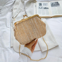 Stylish Crossbody Frame Bag Chain Straw Shoulder Bag Clutch Purse