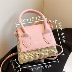 Mini Straw Woven Crossbody Bag Colorblock Summer Beach Handbag