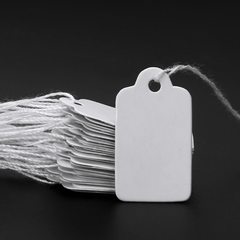 100pcs Rectangular Blank Tag Label Tags With String Label Paper Cards