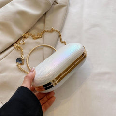 Metal Handle Clutch Bag Acrylic Bow Frame Purse
