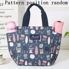 Cartoon Graphic Reusable Lunch Bag for School & Work