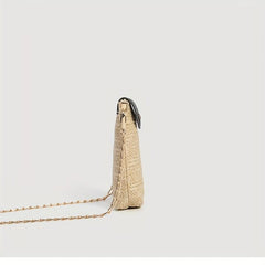 Straw Summer Beach Crossbody Bag Woven Braided Shoulder Bag Women's