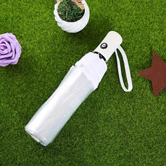 Transparent Auto 3-fold Umbrella