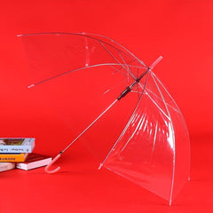 Colorful Transparent Long Handle Umbrella - Windproof & Waterproof