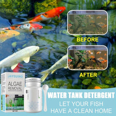 Algae Removal Potion for Clear Fish Tanks 50G