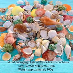 100g Shell Conch for Aquarium Landscaping and Decoration