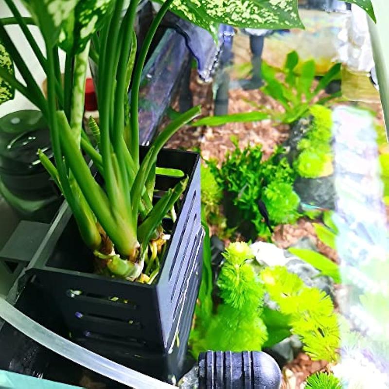 Aquatic Plant Holder for Hanging Aquariums - Ideal for Emersed Plants