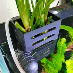 Aquatic Plant Holder for Hanging Aquariums - Ideal for Emersed Plants
