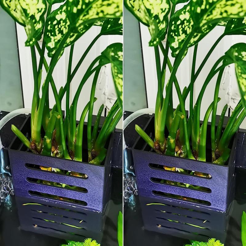 Aquatic Plant Holder for Hanging Aquariums - Ideal for Emersed Plants