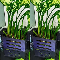 Aquatic Plant Holder for Hanging Aquariums - Ideal for Emersed Plants