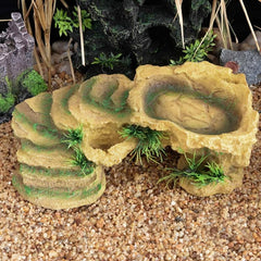 Turtle Basking Platform with Resin Dock & Hiding Cave