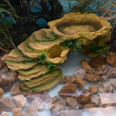 Turtle Basking Platform with Resin Dock & Hiding Cave