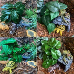 Artificial Rainforest Habitat Plant Decoration for Amphibian and Reptile Tanks