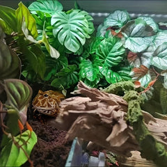 Artificial Rainforest Habitat Plant Decoration for Amphibian and Reptile Tanks