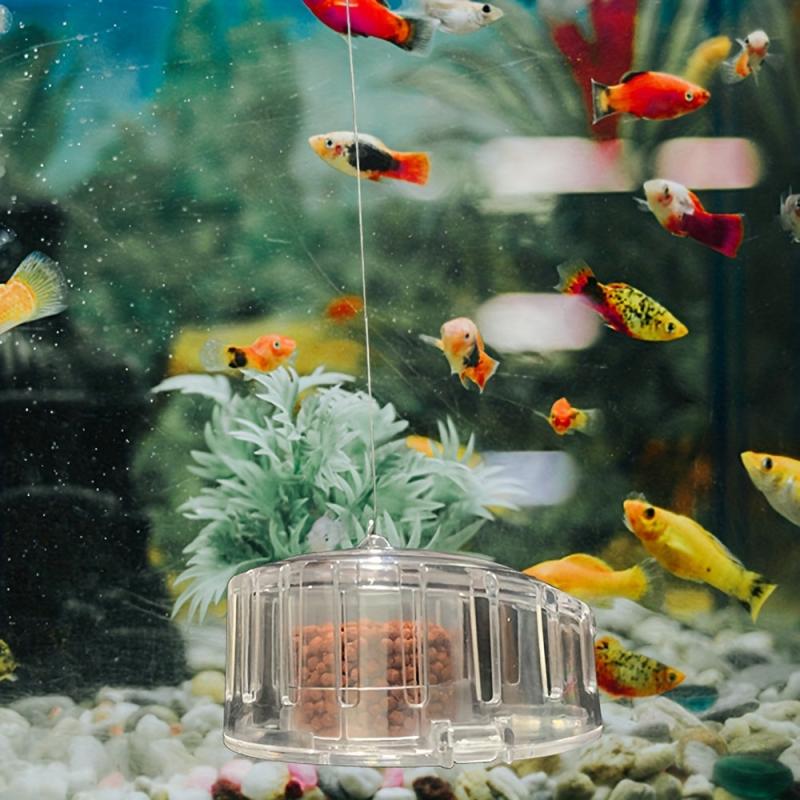 Aquarium Snail Trap Snail Box for Fish Tank