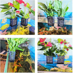 2pcs Hanging Aquarium Planter Cups Aquatic Plants Holder Fish Tank Decor