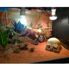 Terrarium Skull Decor Reptile House Hide Skull Cave Fish Tank Decor